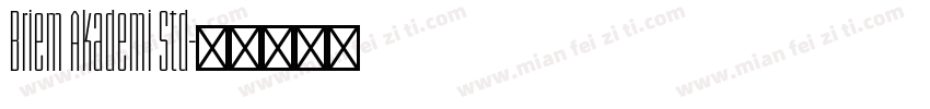 Briem Akademi Std字体转换